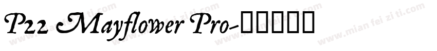 P22 Mayflower Pro字体转换